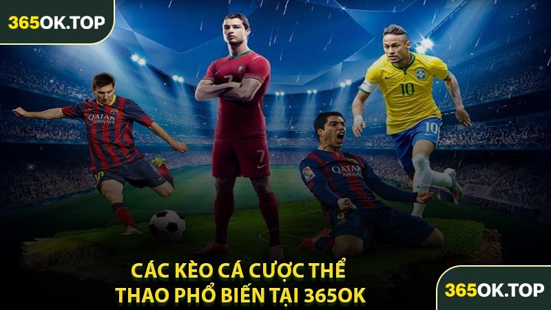 Các Kèo Cá Cược Thể Thao Phổ Biến Tại 365OK