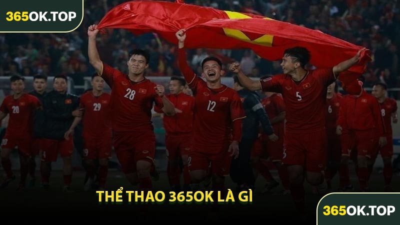 Thể Thao 365OK Là Gì
