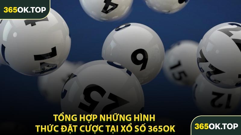 Tổng Hợp Những Hình Thức Đặt Cược Tại Xổ Số 365OK