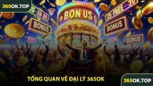 Tổng Quan Về Đại Lý 365OK