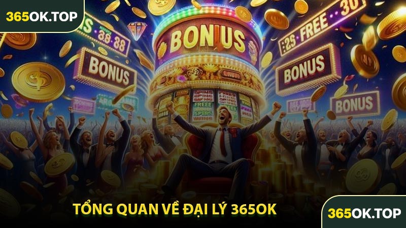 Tổng Quan Về Đại Lý 365OK
