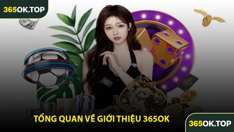 Tổng Quan Về Giới Thiệu 365OK