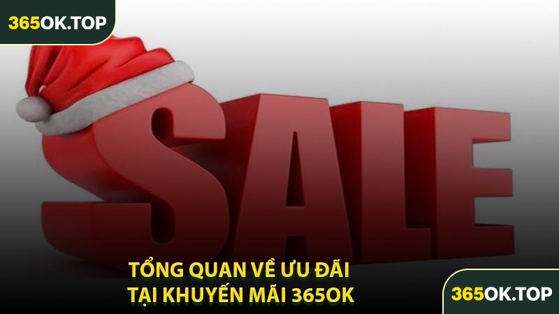 Tổng Quan Về Ưu Đãi Tại Khuyến Mãi 365OK