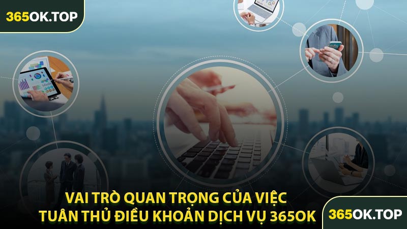 Vai Trò Quan Trọng Của Việc Tuân Thủ Điều Khoản Dịch Vụ 365OK